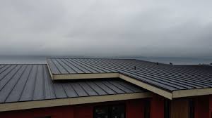 Best Rubber Roofing (EPDM, TPO)  in Ashland, NE